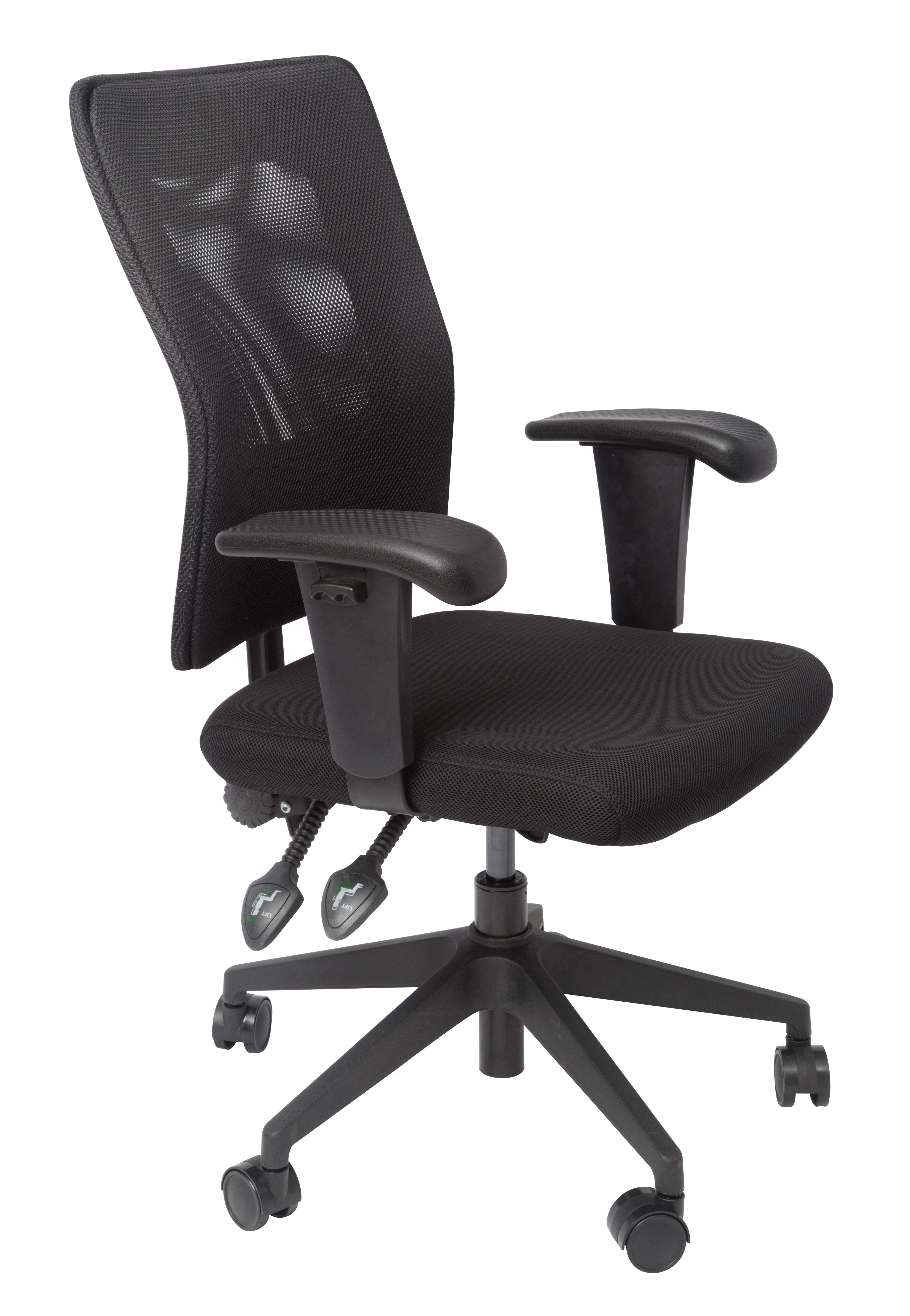 FEAM100 3 Lever Fully Ergonomic Chair | Office Direct QLD